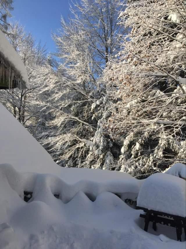 Uroczysko Apartment วีสวา ภายนอก รูปภาพ